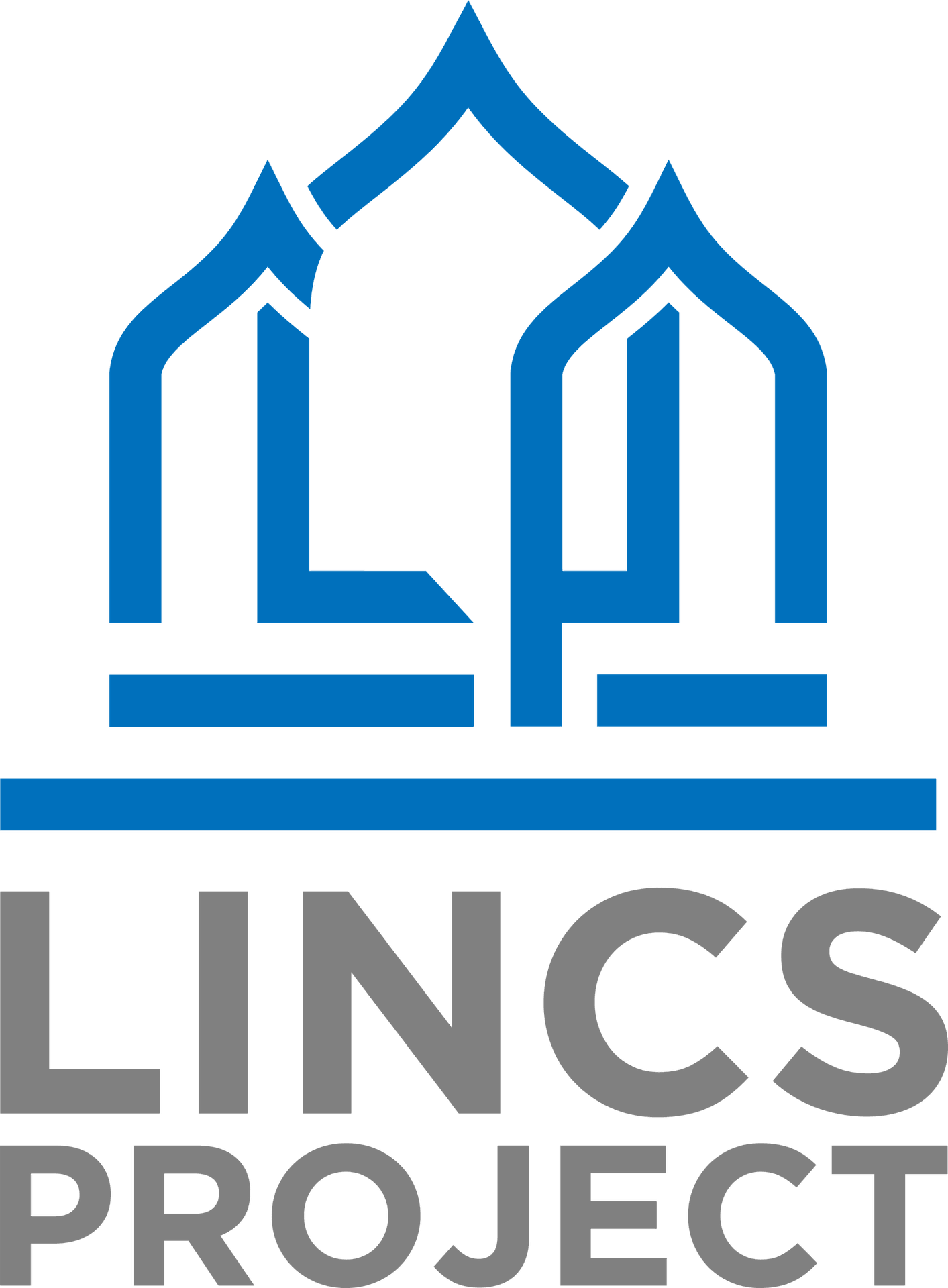 Lincs Project